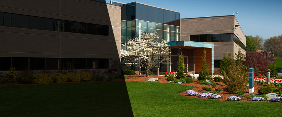 Taunton Landscapers