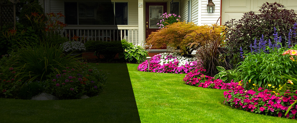 Taunton Landscapers