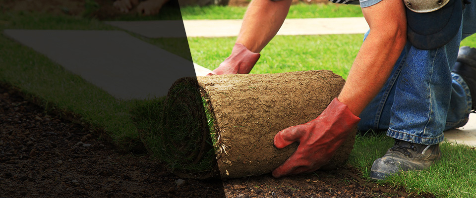 Taunton Landscapers